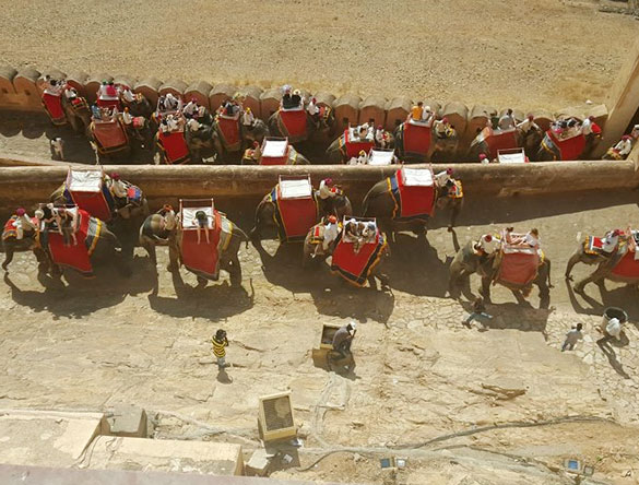 Elephant ride at Amber Fort Jaipur