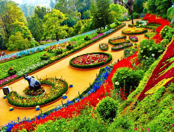Ooty Tour South India
